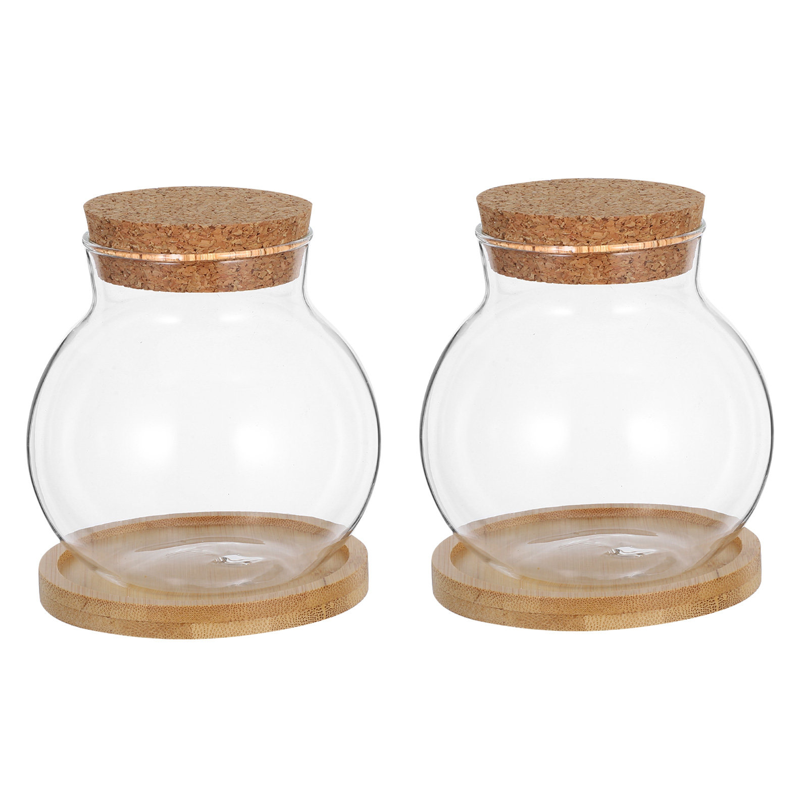 2Set Hydroponic Glass Elegant  - Propagation Station Vase 评论和价格